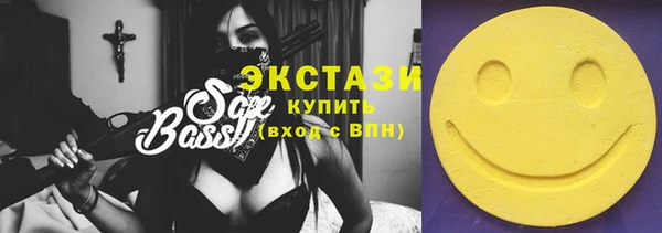 мдпв Инсар