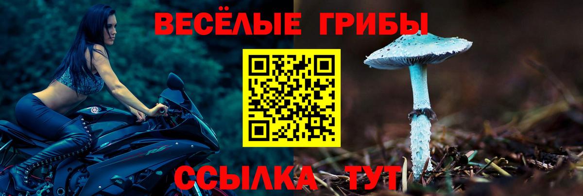 Псилоцибиновые грибы GOLDEN TEACHER  Вход с VPN  Ишимбай 